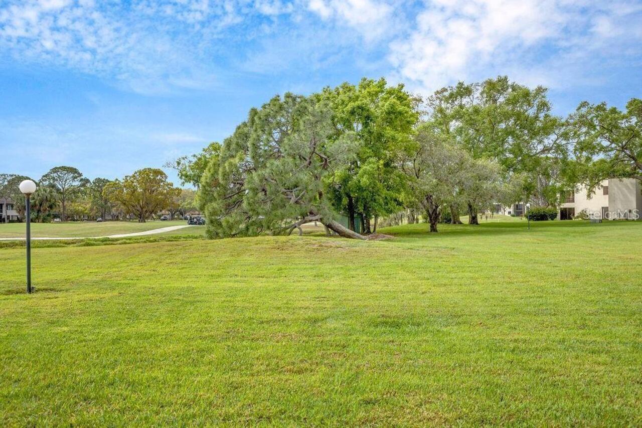 Listing Photo 33