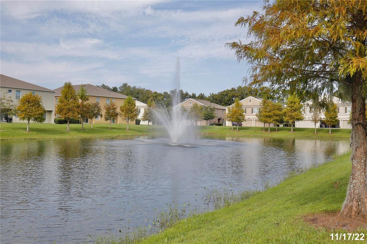 Listing Photo 23
