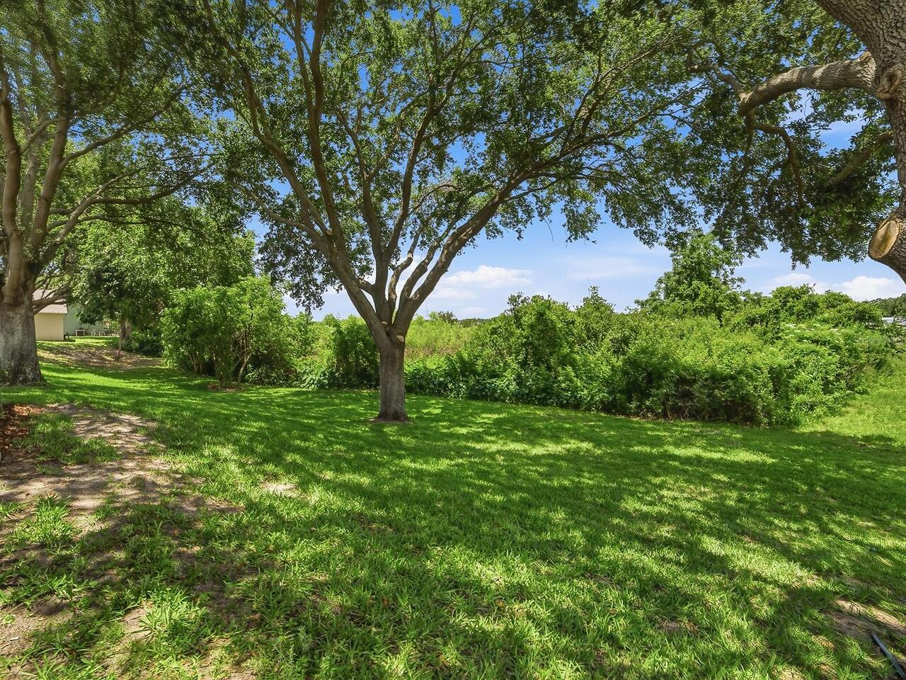 Listing Photo 33
