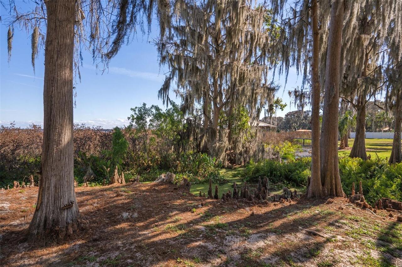 Listing Photo 82