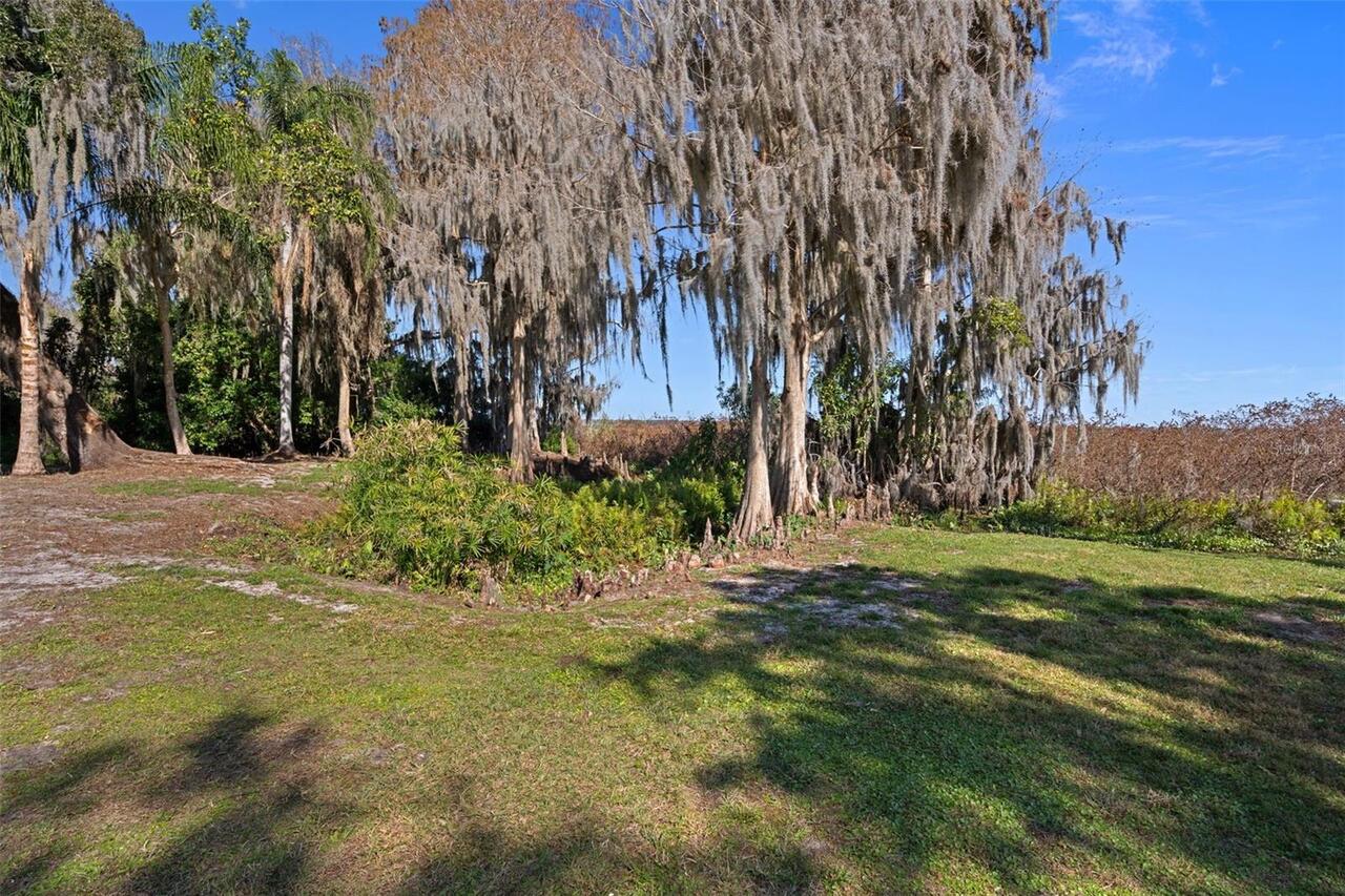 Listing Photo 84