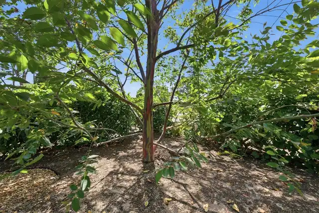 Listing Photo 44
