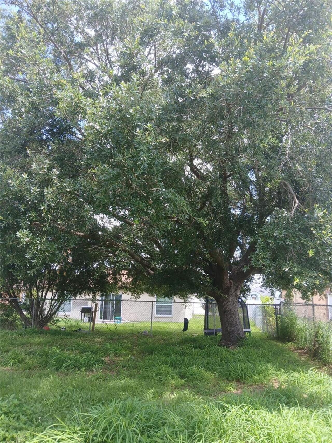 Listing Photo 13