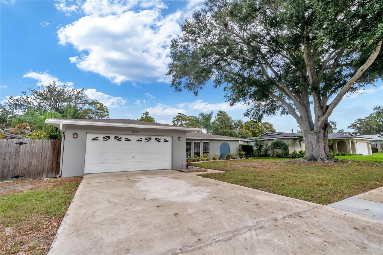 Listing Photo 19