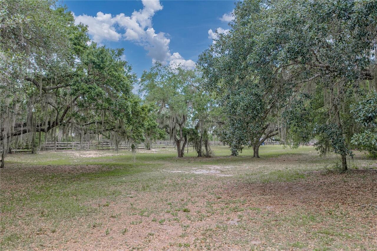 Listing Photo 85