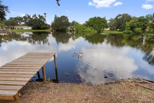 Listing Photo 37