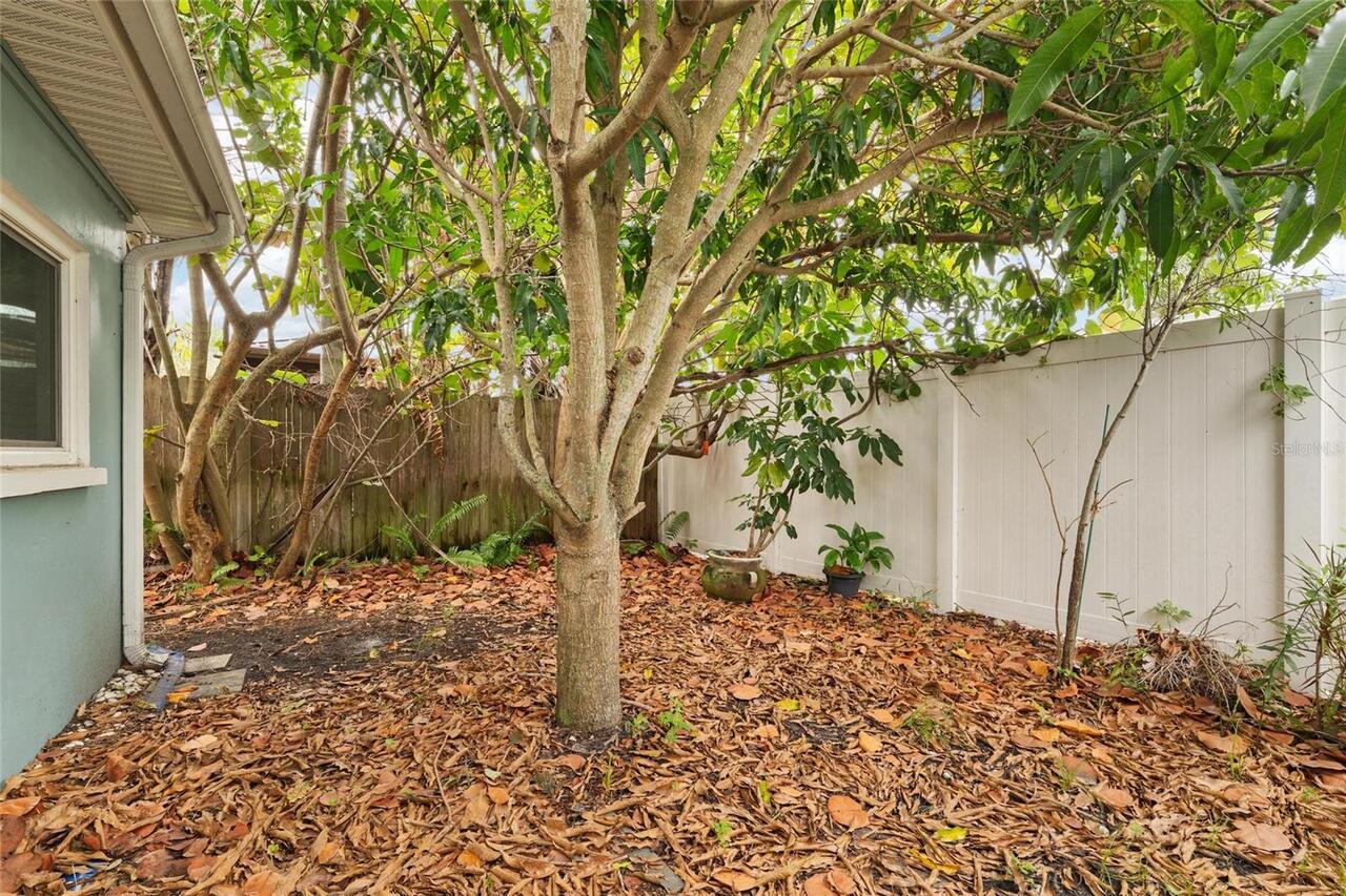Listing Photo 26