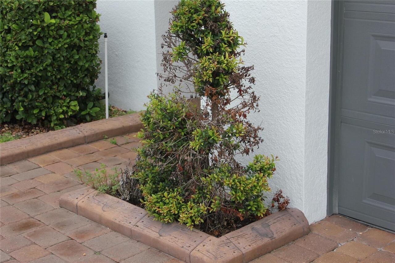 Listing Photo 71