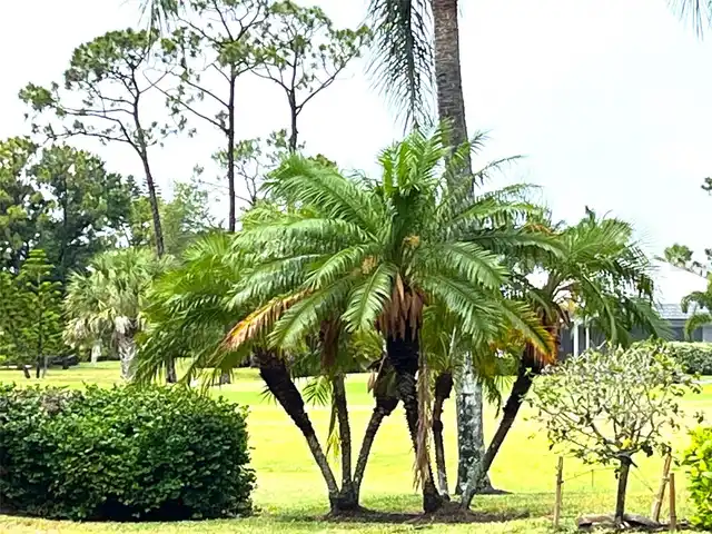 Listing Photo 38