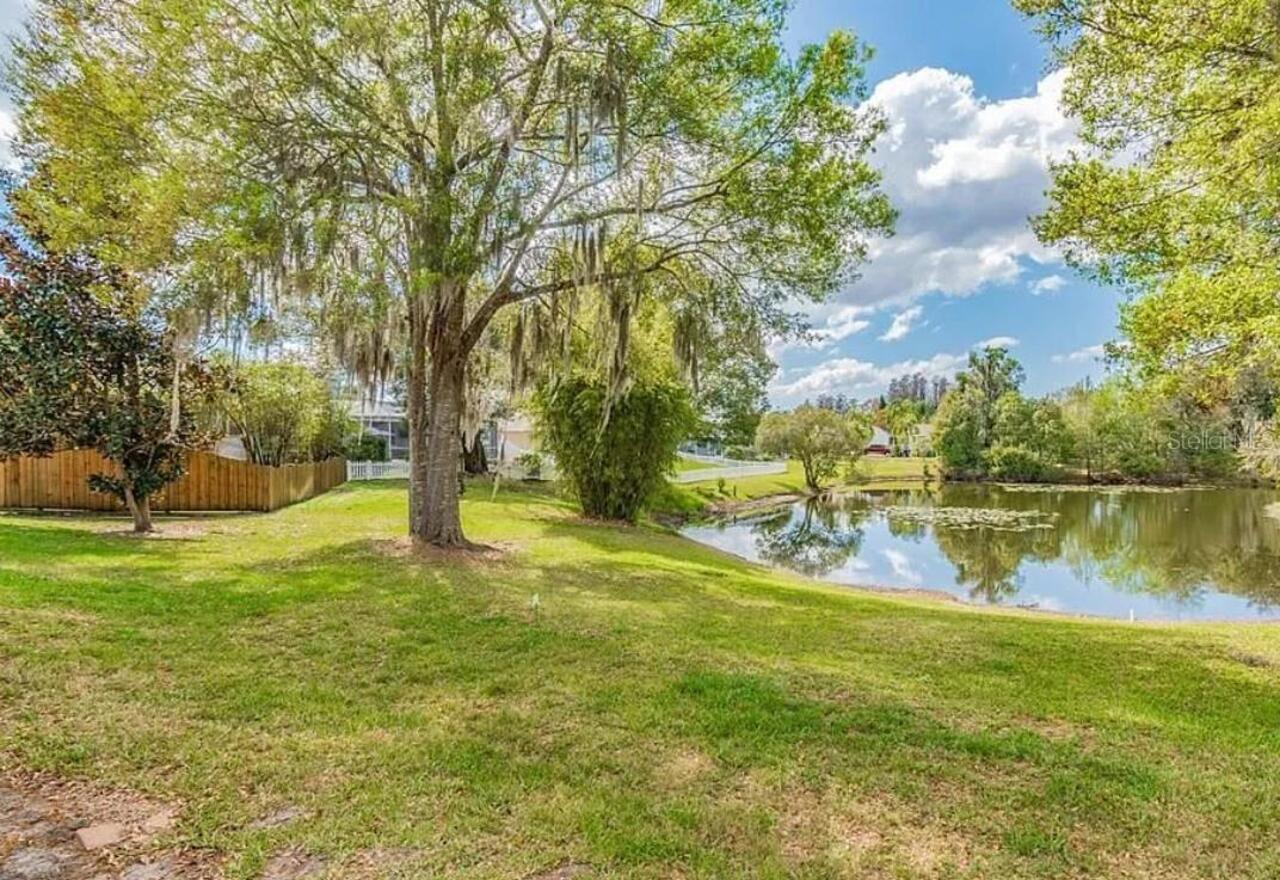 Listing Photo 41
