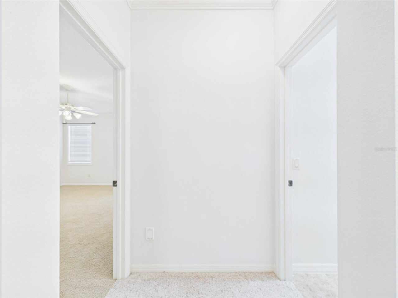 Listing Photo 52