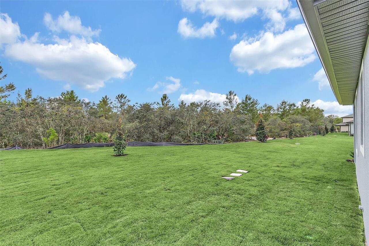 Listing Photo 31