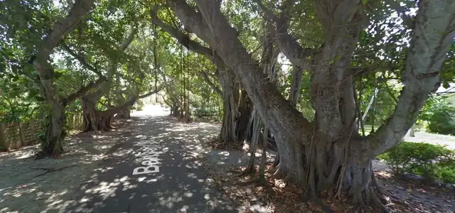 Listing Photo 52