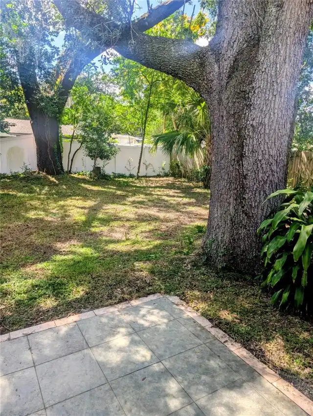 Listing Photo 23