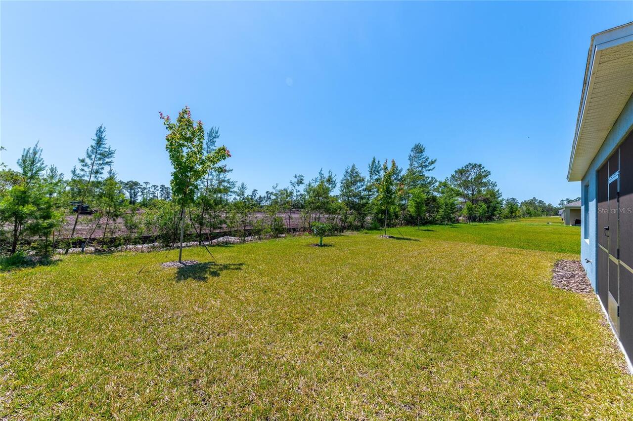 Listing Photo 23