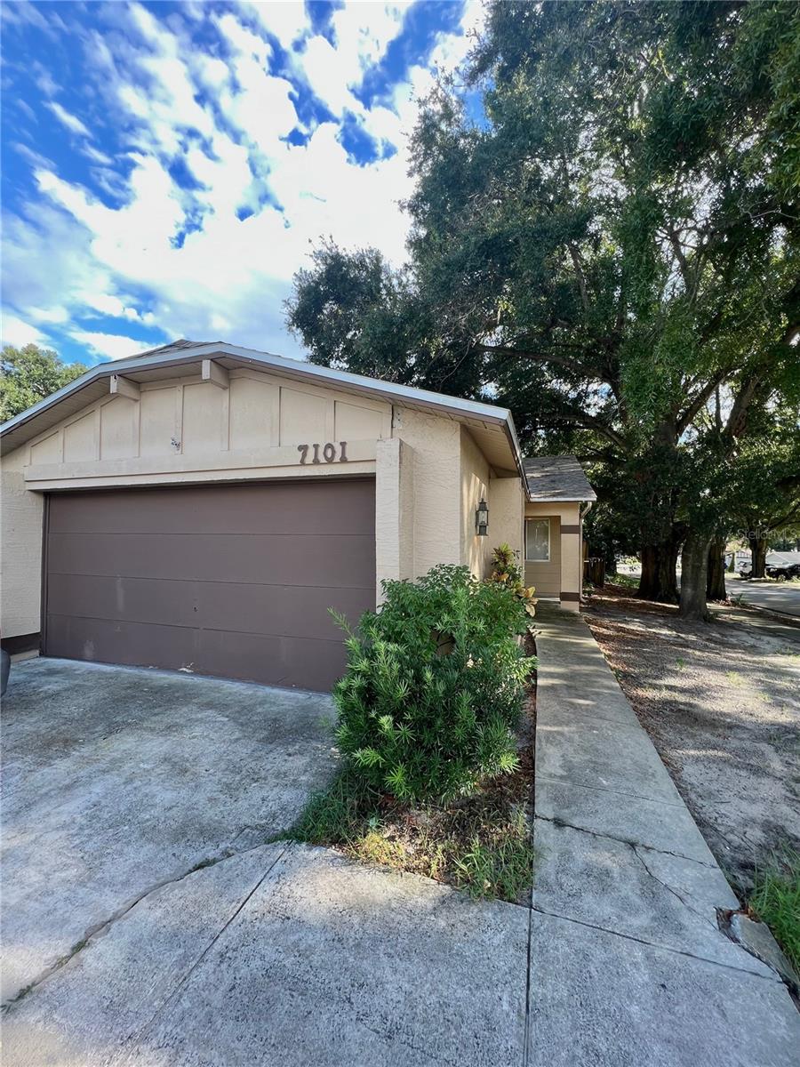 Orlando Real Estate