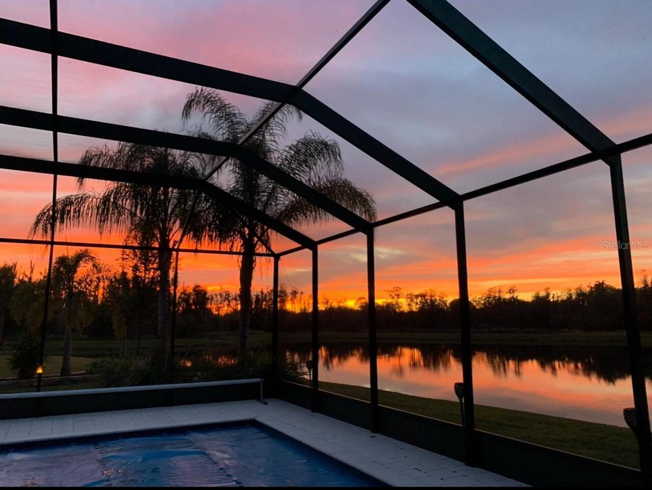 Wimauma Real Estate