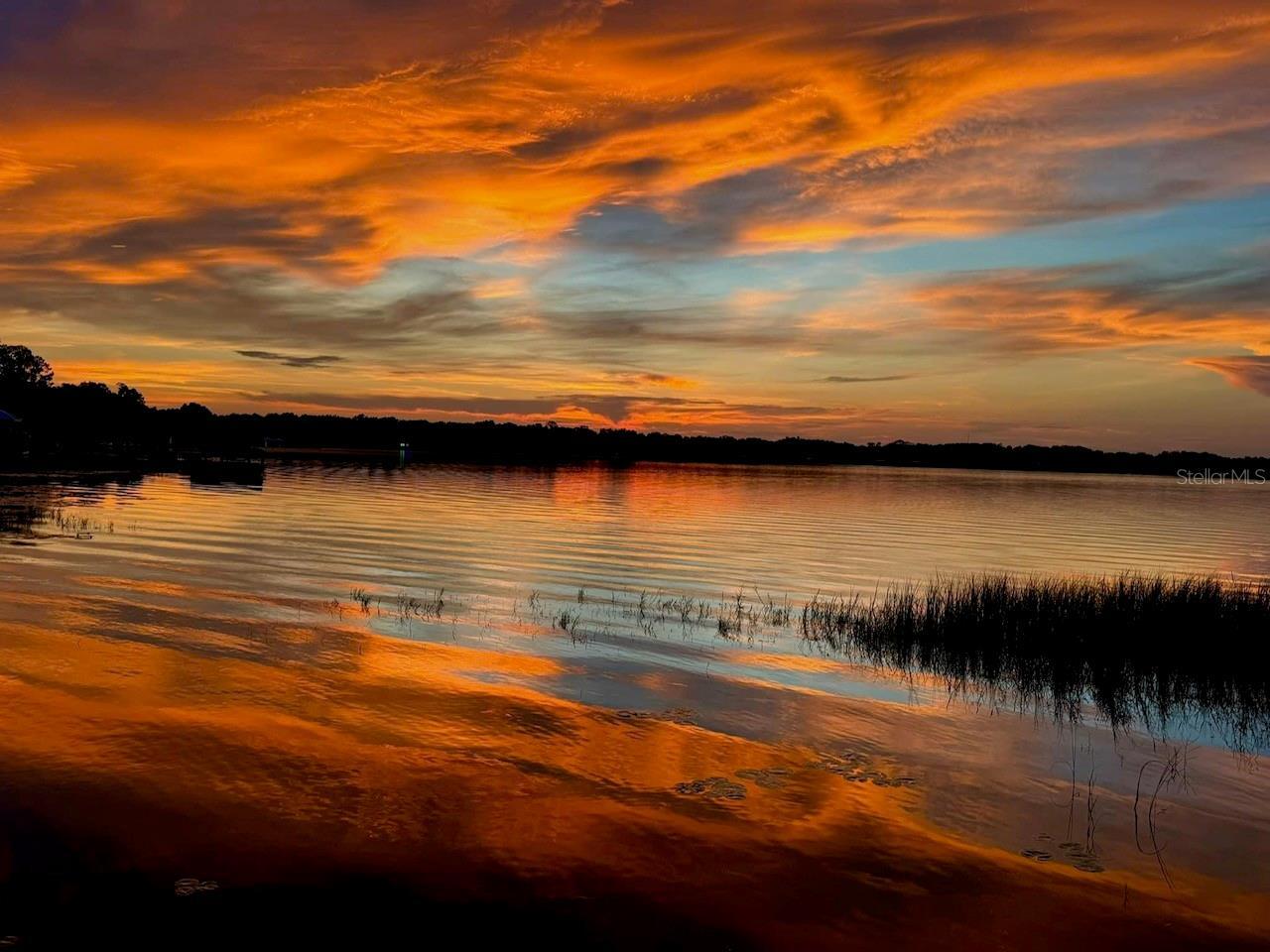 Ocklawaha Real Estate