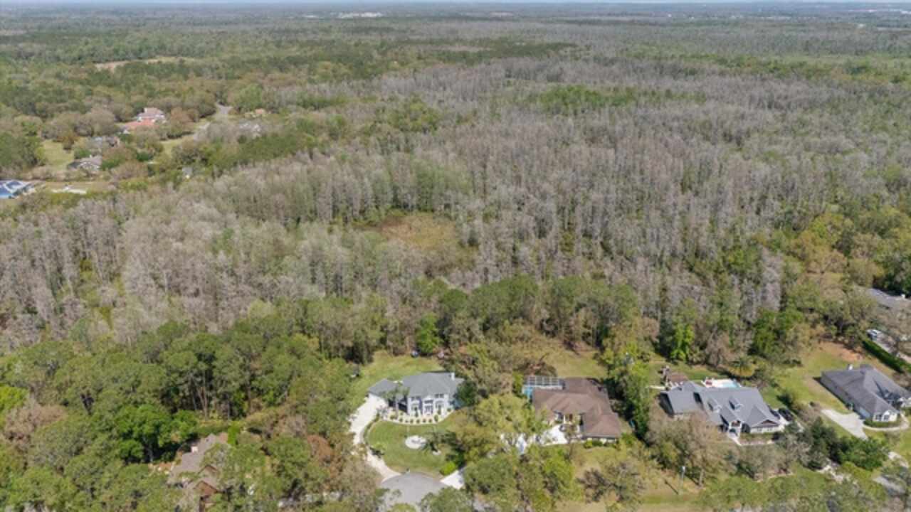 Listing Photo 17