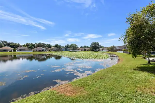 Listing Photo 61