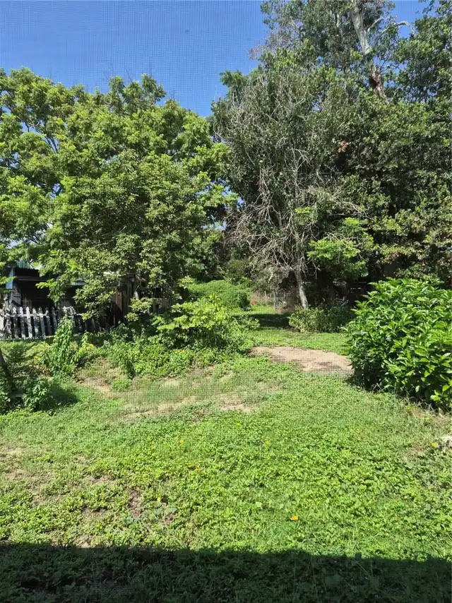 Listing Photo 29