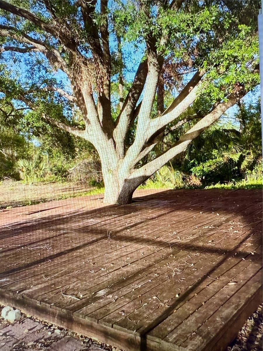 Listing Photo 23