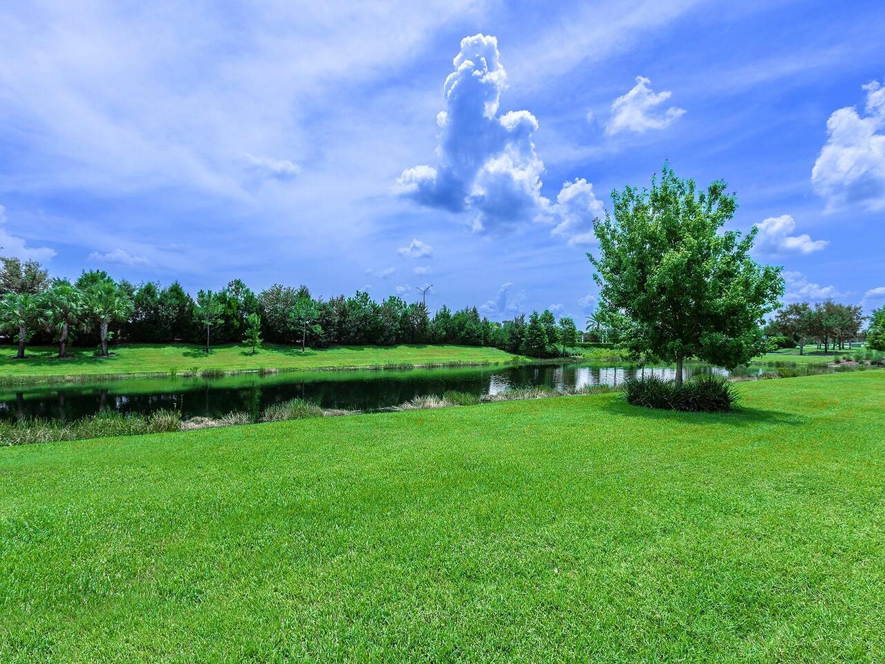 Listing Photo 51