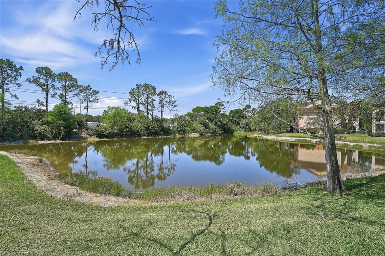 Listing Photo 31