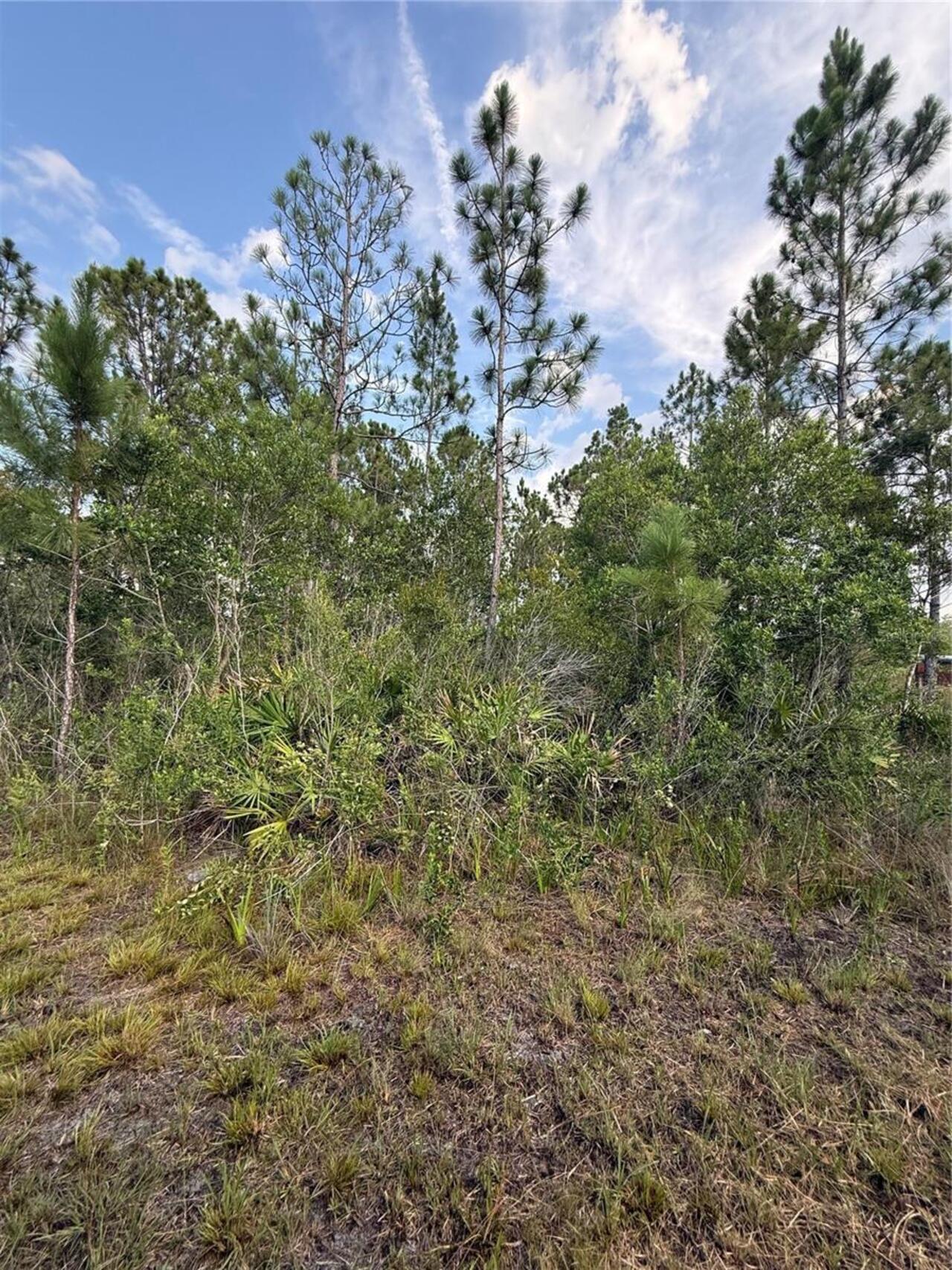 Listing Photo 9