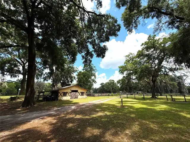 Listing Photo 17