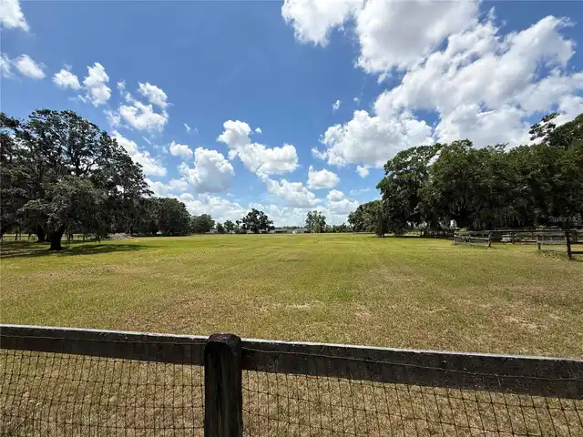 Listing Photo 34