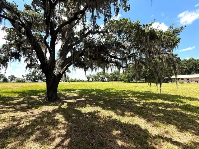 Listing Photo 39