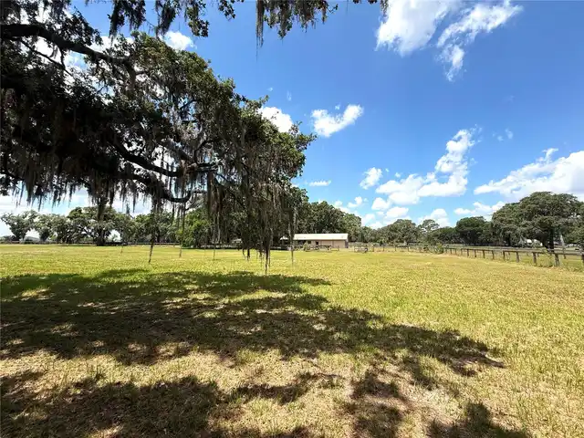 Listing Photo 41