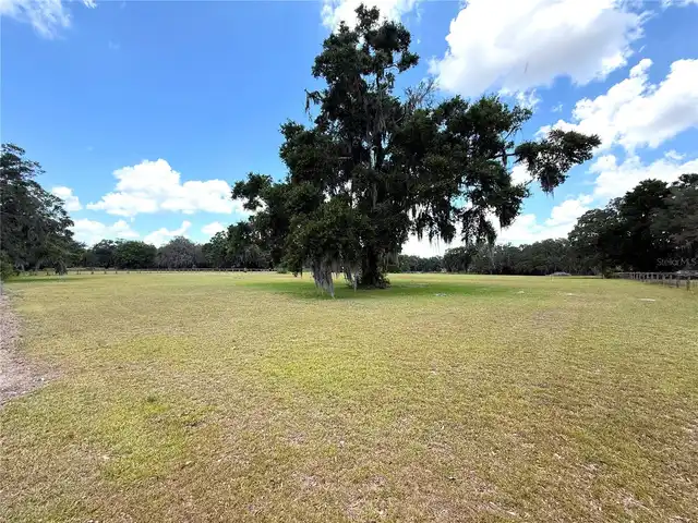 Listing Photo 50