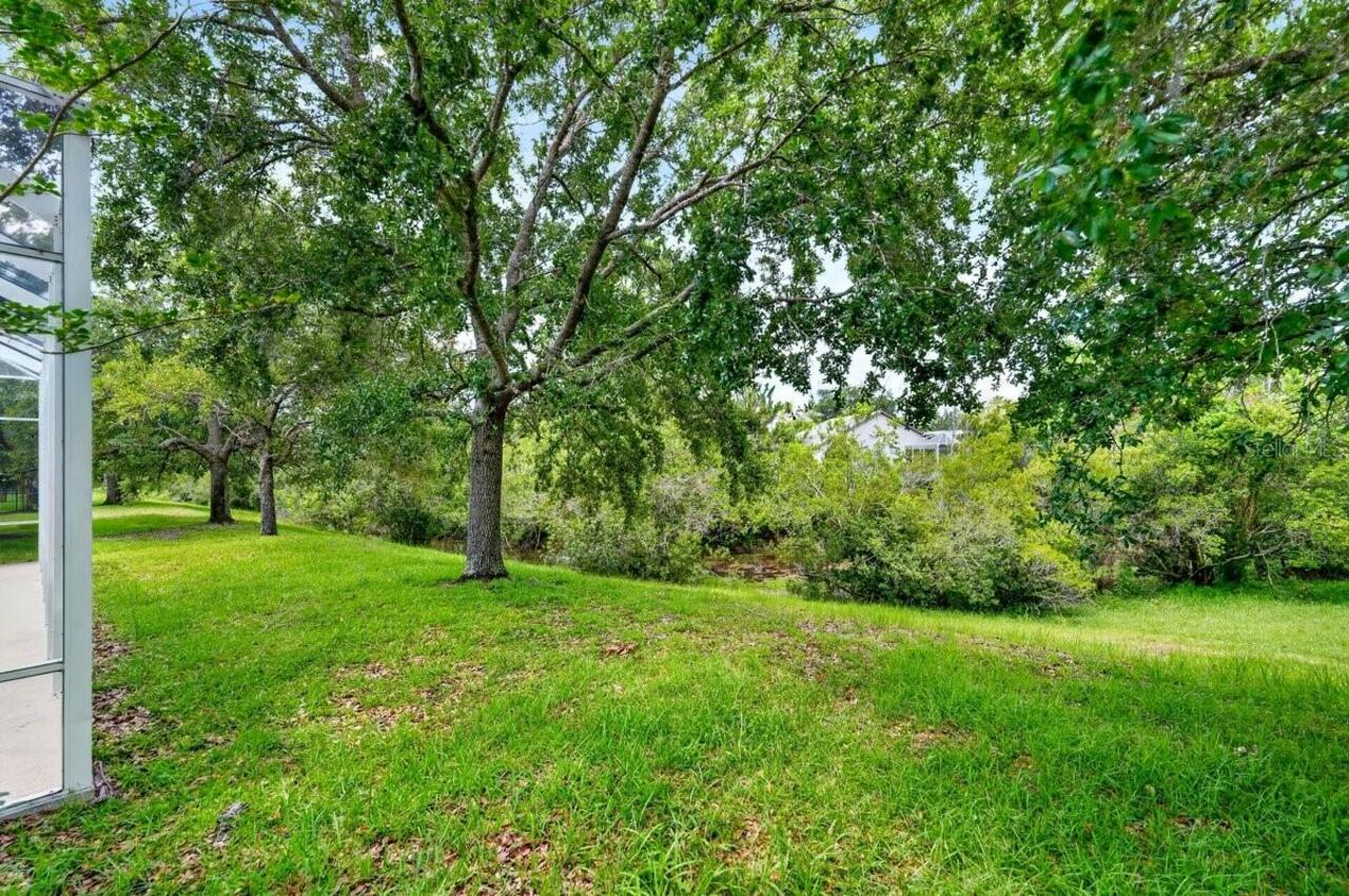 Listing Photo 41