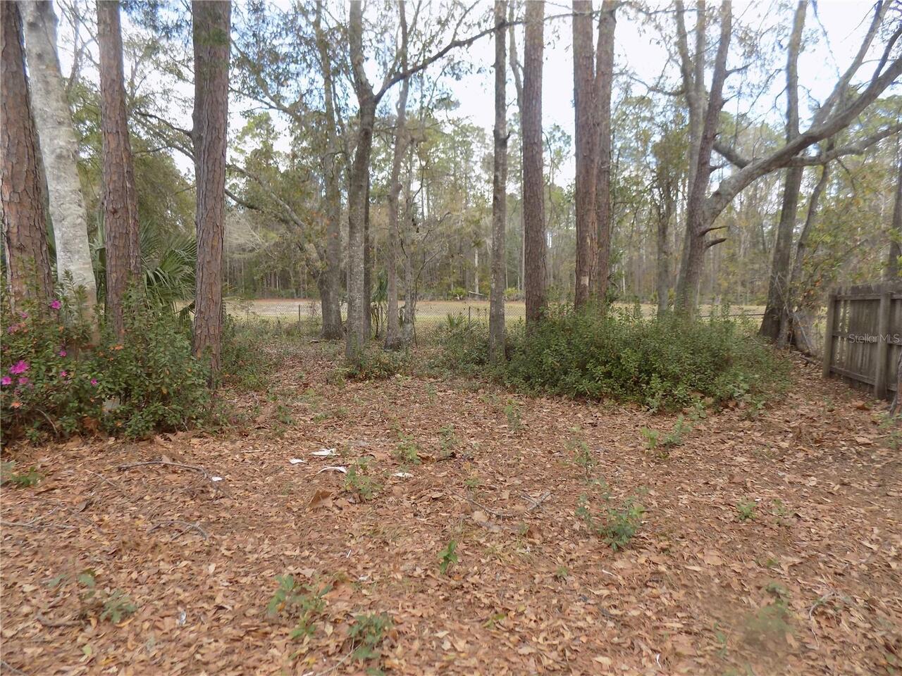Listing Photo 38