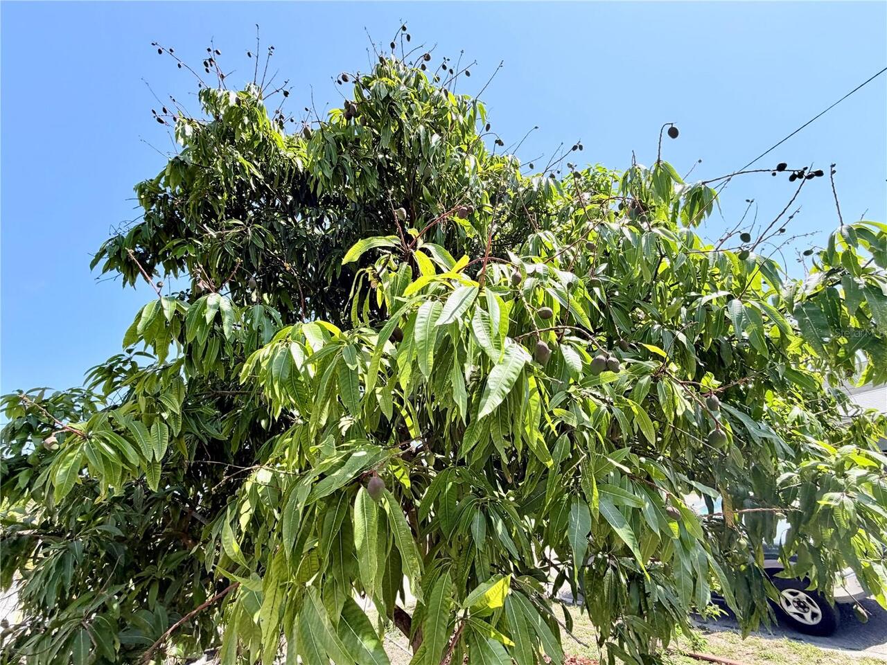 Listing Photo 6