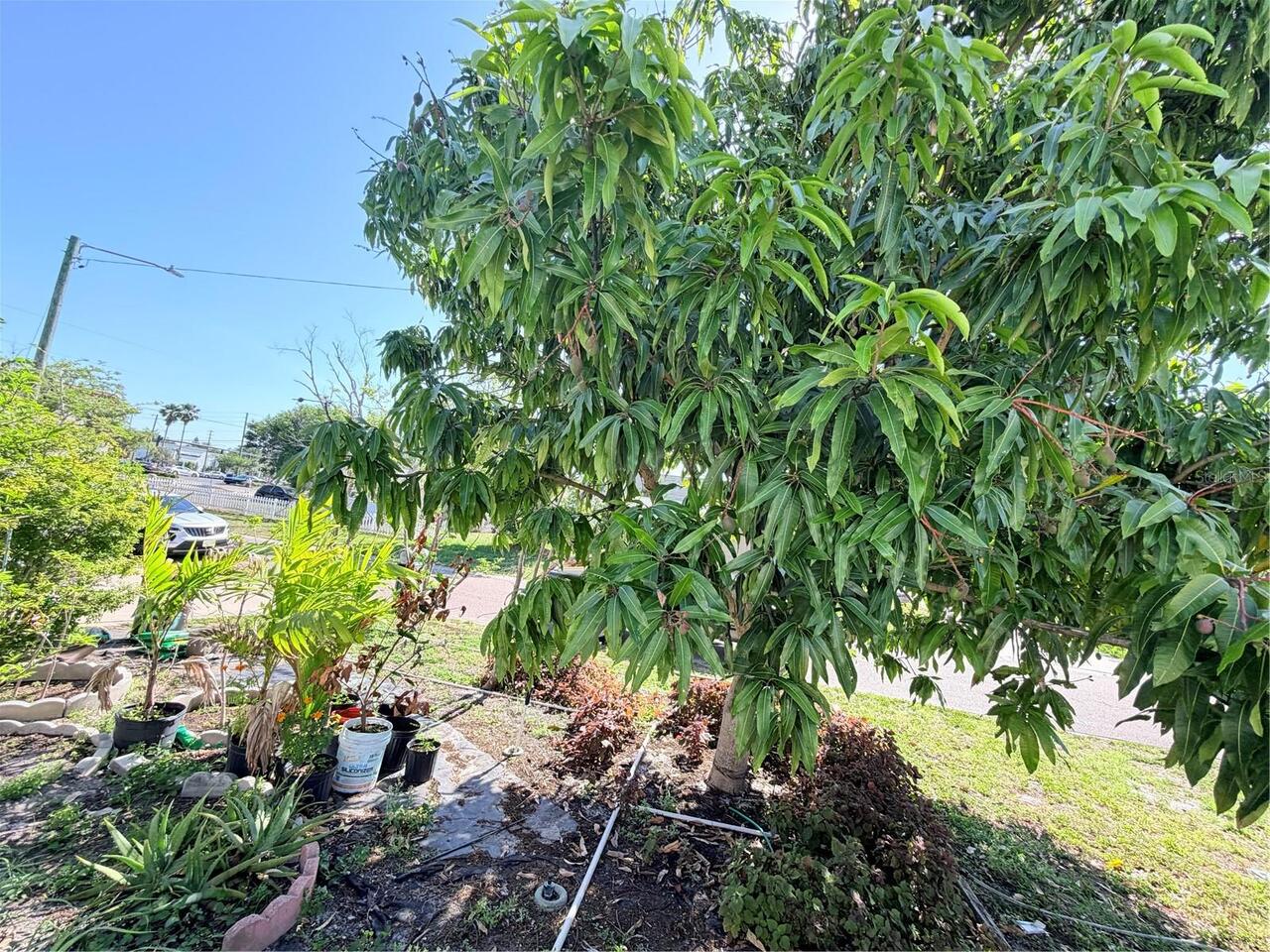 Listing Photo 43