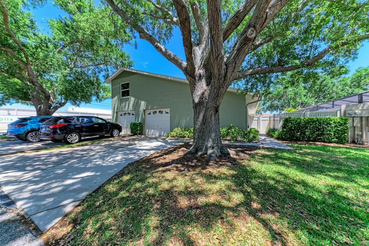 Listing Photo 35
