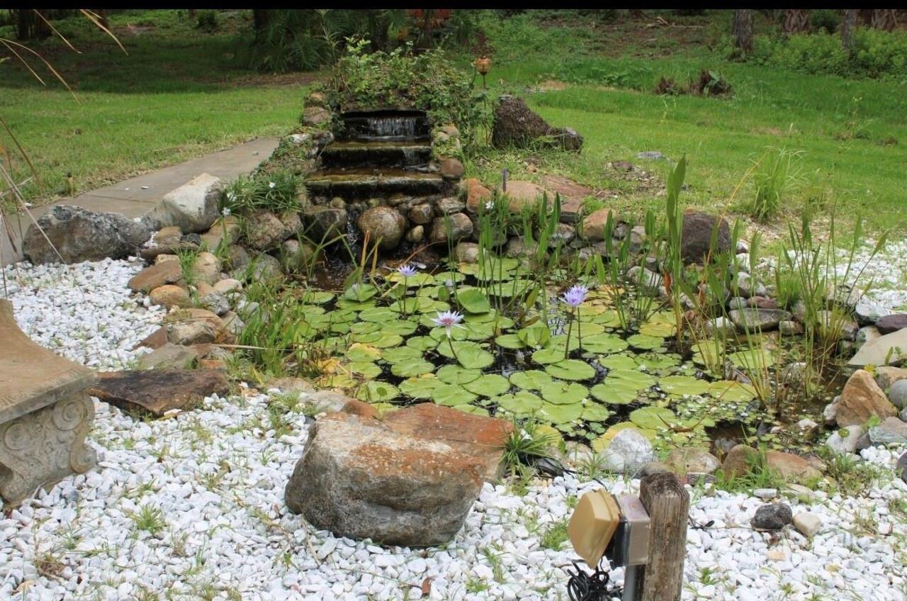Listing Photo 68