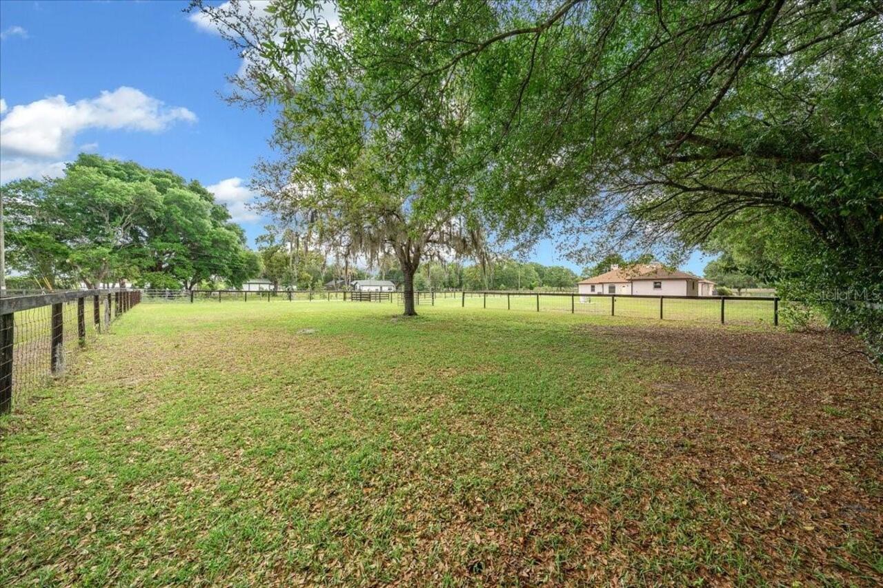 Listing Photo 31
