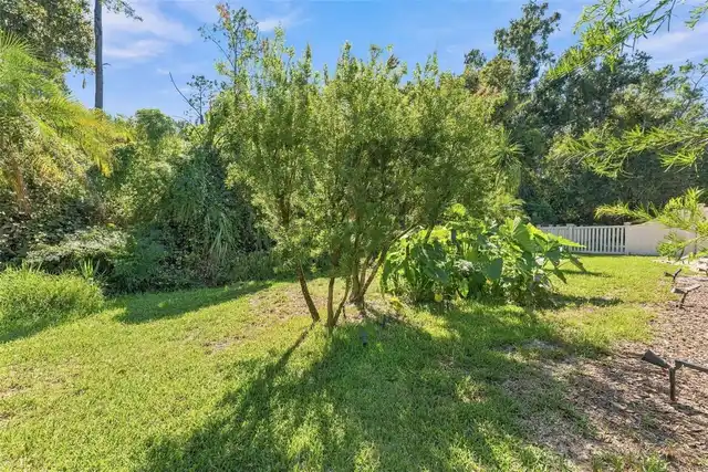Listing Photo 52