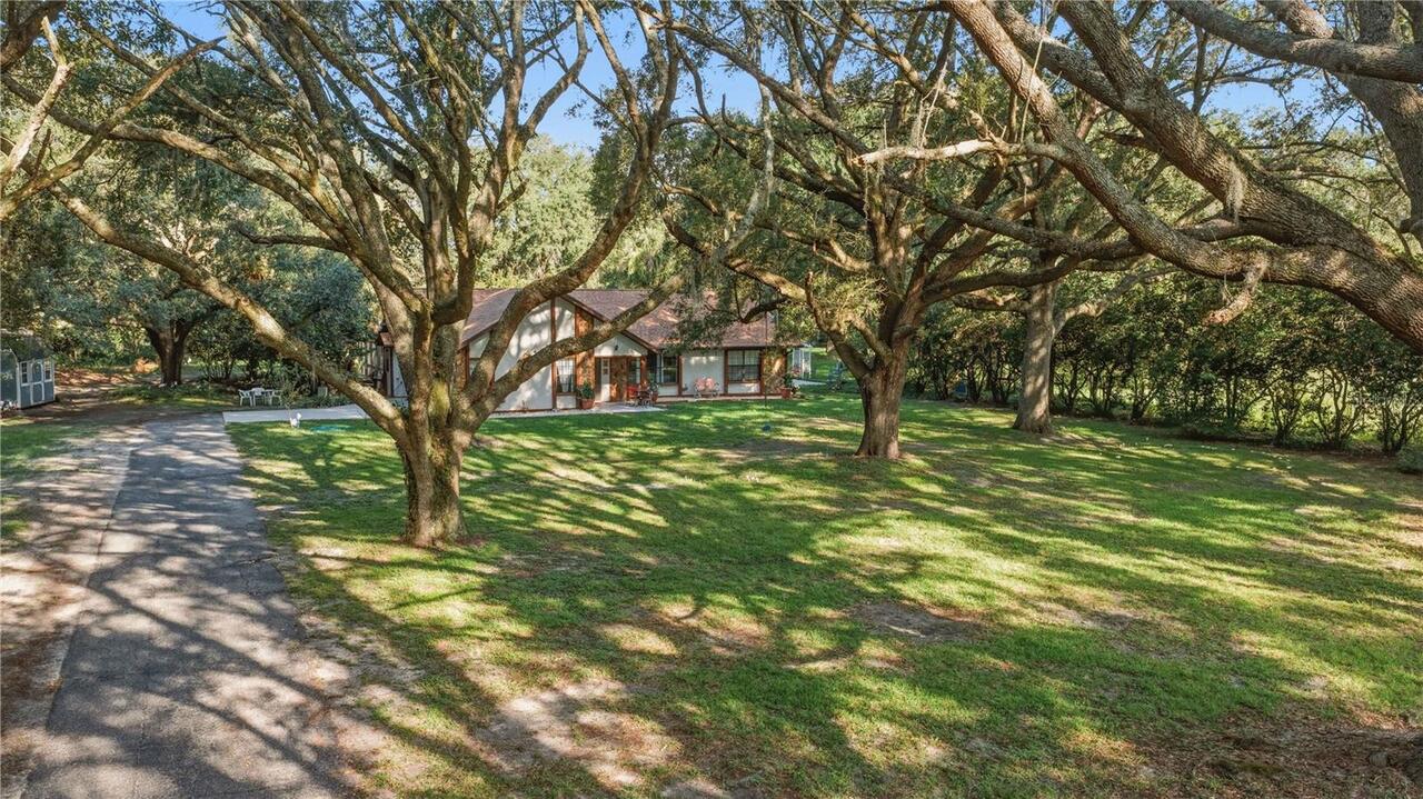 Ocala Real Estate