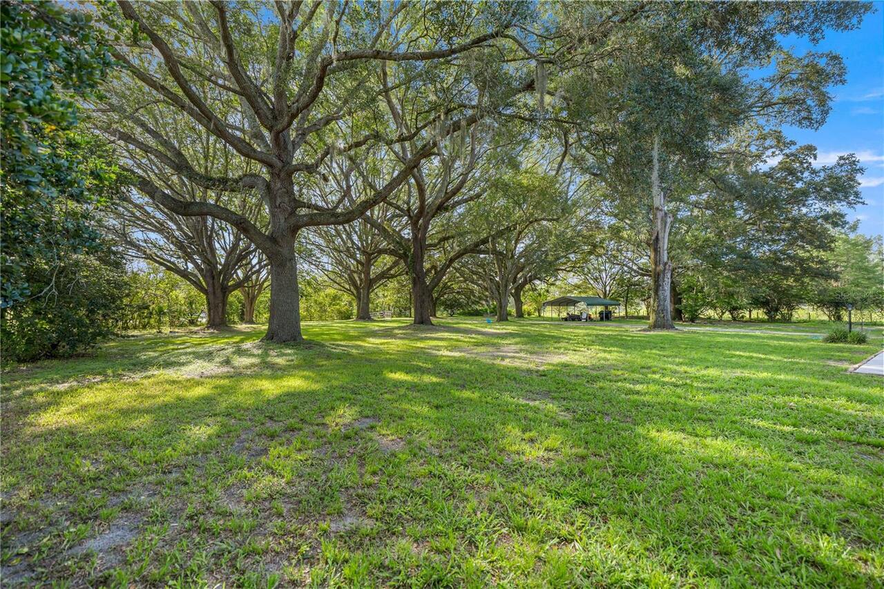 Listing Photo 61