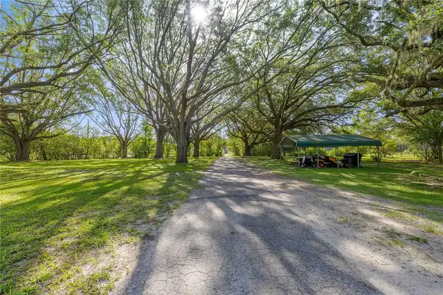 Listing Photo 63