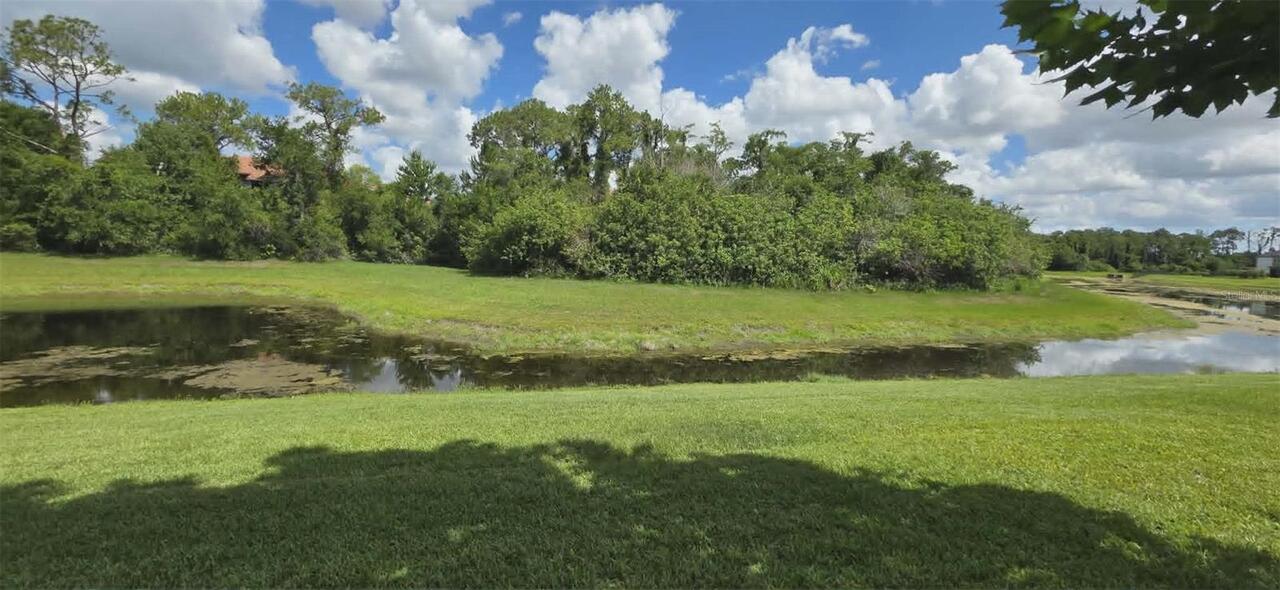 Listing Photo 29