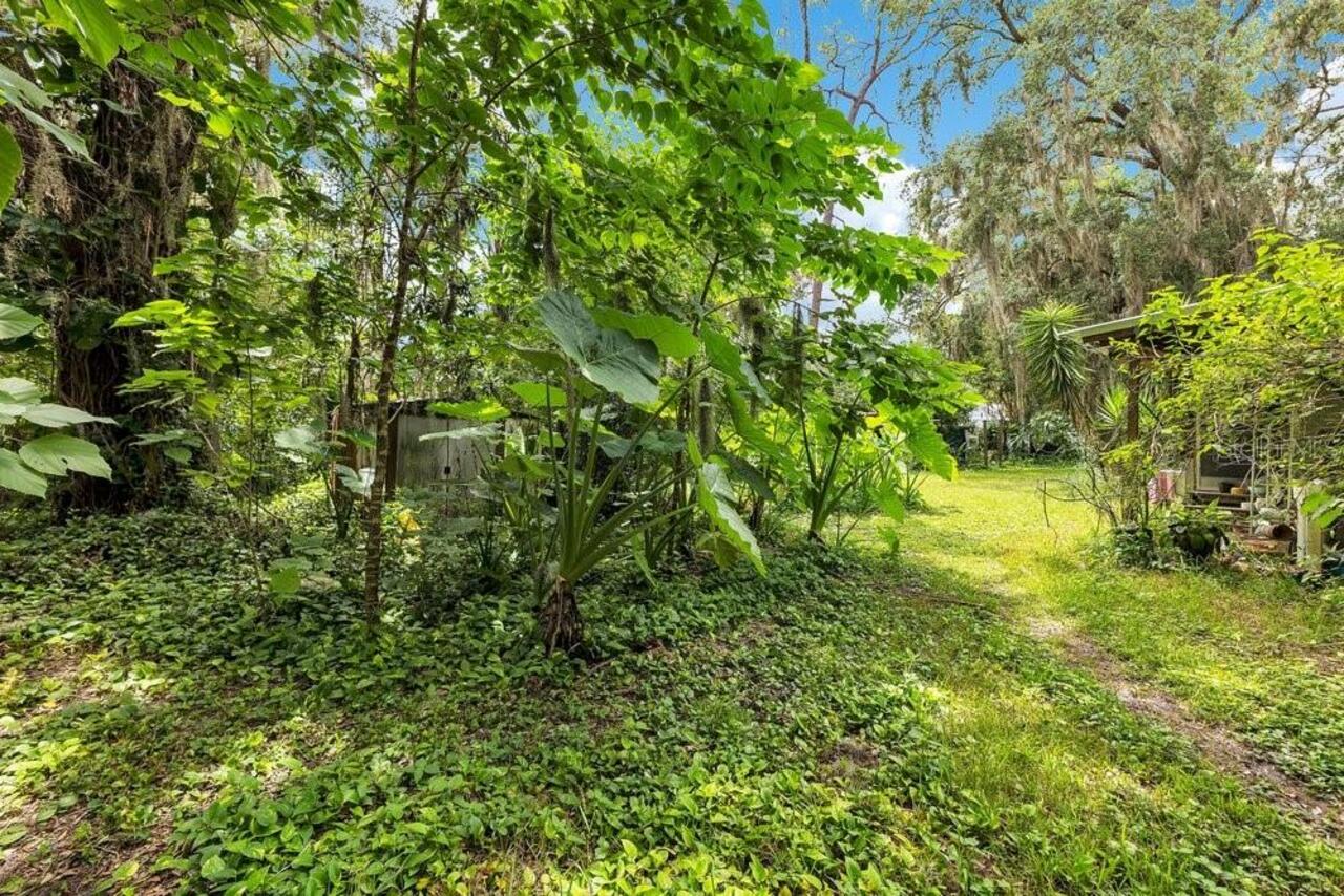 Listing Photo 11