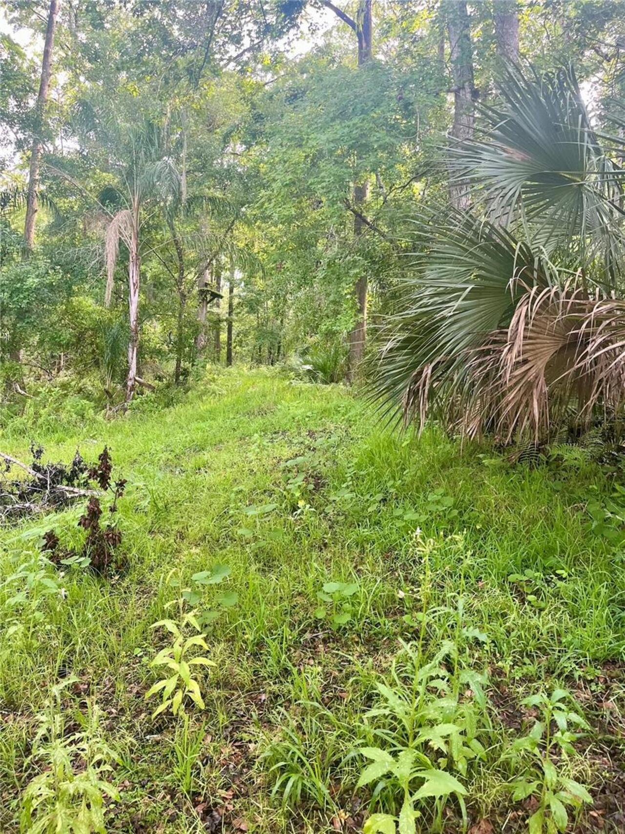 Listing Photo 47