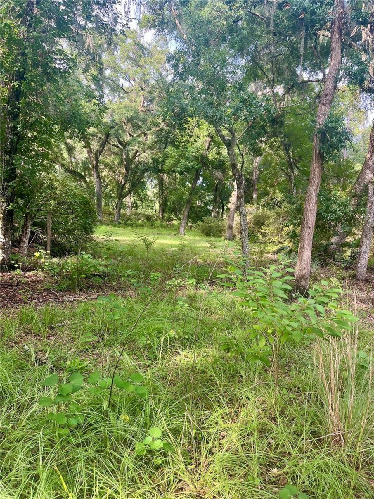 Listing Photo 48