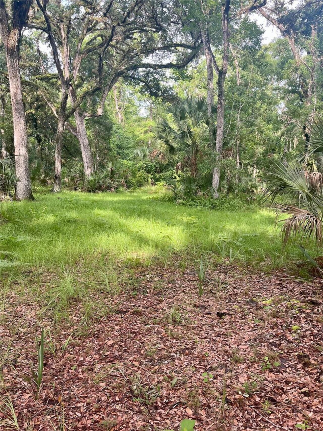 Listing Photo 54